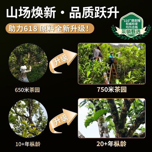 正山顶乌龙茶顶香凤凰单枞鸭屎香特级500g中火礼盒装茶叶品味品质正宗