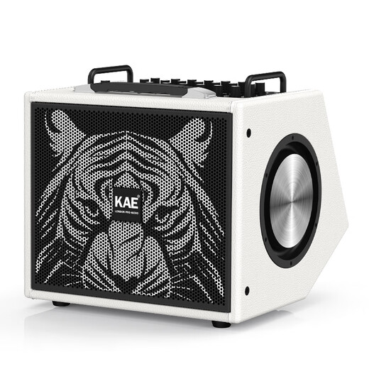 KAE-M8 outdoor karaoke live broadcast roadshow musical instrument audio electric blowpipe guitar saxophone live singing live broadcast internal recording box M8 white tiger head 330W high power + gift package