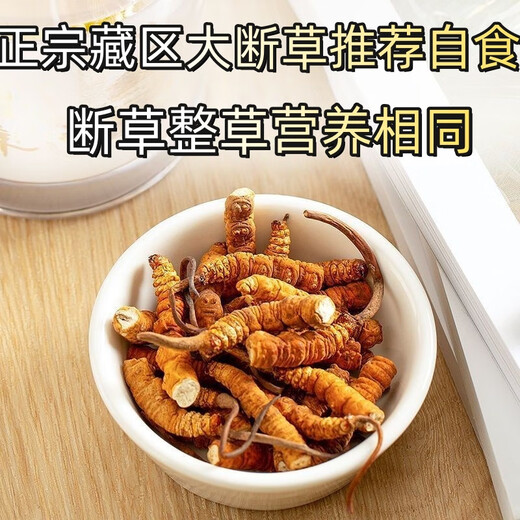 Cordyceps sinensis gebrochenes Gras Cordyceps hohe Höhe Cordyceps sinensis authentisch Cordycep