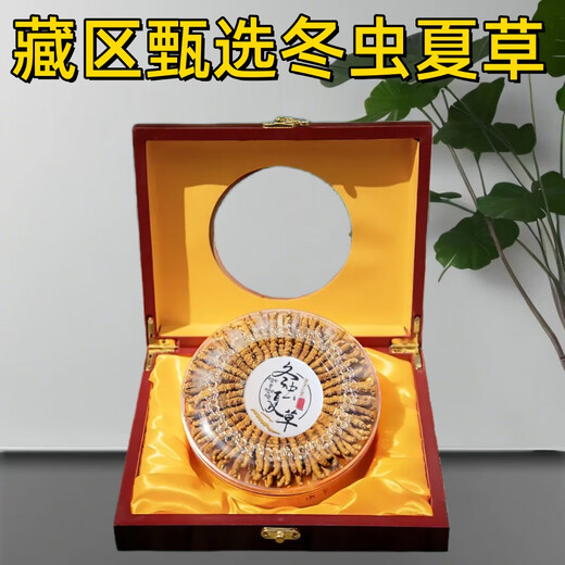 Luzhangtang Cordyceps gift box is packed with authentic Tibetan snow mountain Cordyceps gifts quality guaranteed to ship on the same day. Tibet Naqu fine cordyceps 2 pieces 1 gram 20 pieces