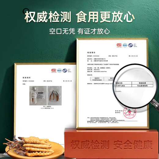 藏幽正宗冬虫夏草礼盒装滋补品头期干虫草送长辈父母领导营养品礼物 【自用 送礼】4根/克-20克-80根【性价比款】