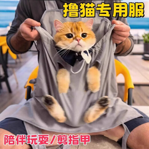 Amor's special clothes for cat care