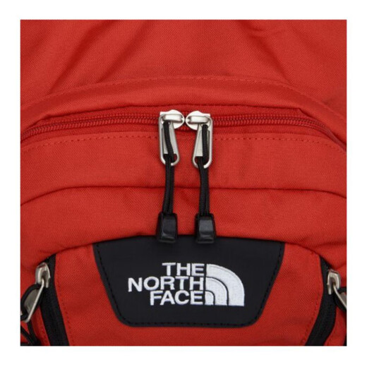 北面（The North Face）19LLogo标志拉链开合聚酯纤维双肩包迷你男女同款情侣款红色 红色 迷你