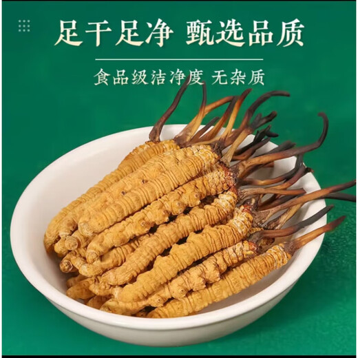 Cordyceps sinensis Cordyceps sinensis 2 grammes de cordyceps séchés dans les zones tibétaines 3 pièces / gramme (1 morceau par ordre)