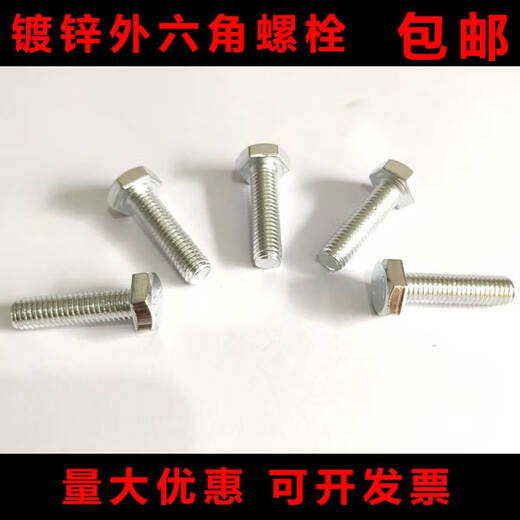 温以嘉定制国标4.8级镀锌外六角螺丝 六角螺栓M6M8M10M12M16M18M20M22M2 M6*10毫米 （9斤大约1098个）