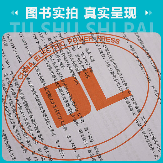 【按需印刷】DL/T 724-2021 电力系统用蓄电池直流电源装置运行与维护技术规程（代替DL/T 724-2000）