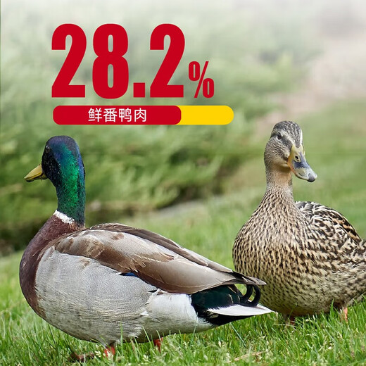 YJ (YJ) Muscovy Duck Dog Food Universal Full Price Grain-Free Fresh Meat Small, Medium and Large Dog Puppies Adult Dog Food Chicken Nutritional 1.5kg Muscovy Duck Full Price Dog Food for All Ages