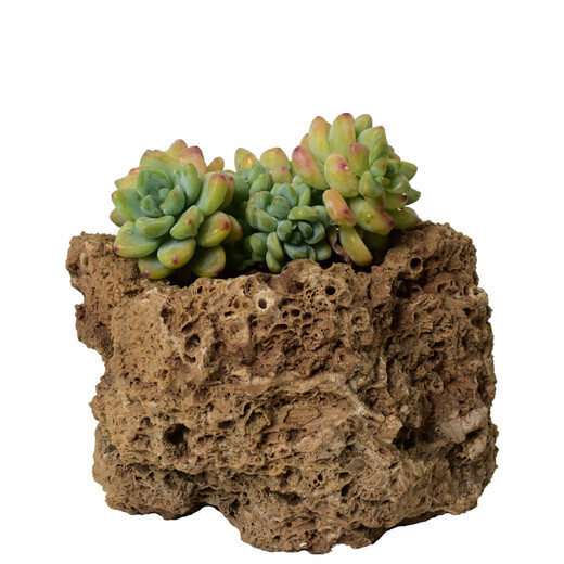 Fine small water stone bonsai rockery absorbent stone micro landscape decoration strange stone ornaments natural raw stone water rust stone 21-24cm stone + tray with grass seed gravel