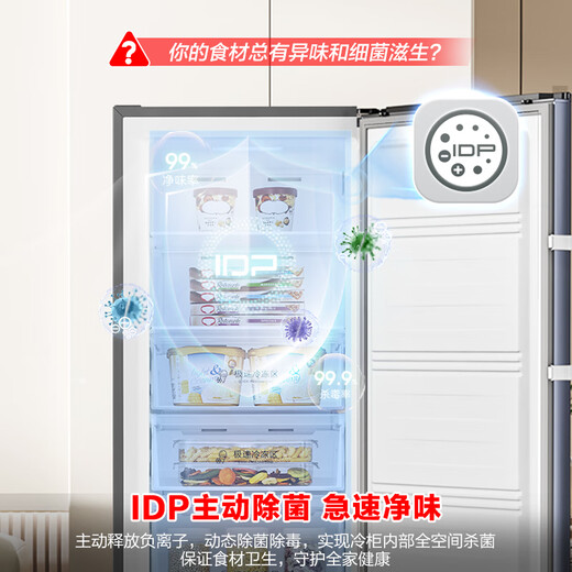 Ronshen 240L vertical home freezer IDP active sterilization rapid odor purification dual frequency conversion air-cooled frost-free computer precise control energy-saving smart vertical cabinet BD-240WPRSY national subsidy