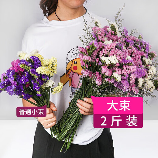 Dried flower bouquet living room decoration decoration Yunnan real flowers dried natural flowers wholesale baby's breath forget-me-not purple baby's breath large bouquet (not including bottle)