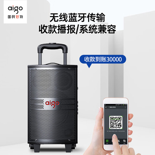 Patriot S312 12-inch square dance audio outdoor high-volume Bluetooth trolley speaker high-power portable mobile performance karaoke subwoofer street stall speaker single microphone