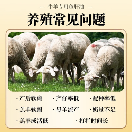 Changmu cod liver oil for veterinary use, pigs, cattle, sheep, chickens, ducks, geese, pigeons and poultry, multi-vitamin instant egg production, multi-vitamin supplement, 40Jin Jin equal to 0.5kg, enhanced beef and sheep cod liver oil, 20 bags