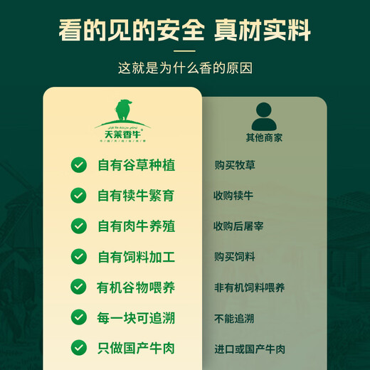 天莱香牛有机健康大块牛腩1斤 可溯源生鲜牛肉低温排酸谷饲清真【真原切】