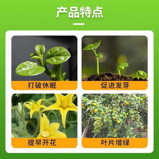 Zheng's Chemical 98% Compound Sodium Nitrophenolate Powder Plant Growth Regulator Rooting and Strengthening Seedlings Agricultural Synergistic Growth-Promoting Regulator 98% Compound Sodium Nitrophenolate 5KG