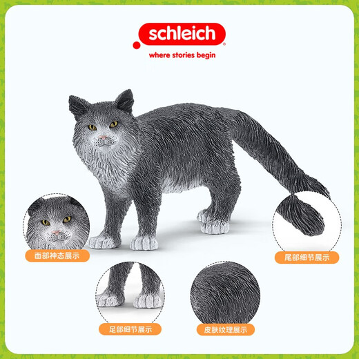 Schleich s simulation Modèle Animal chat chien garçon fille fille enfants cadeau jouet don d'illumination cognition 3+ rhodesien ridge back dog 13895