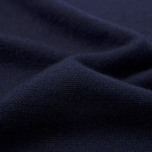 红豆（Hodo）【轻奢含山羊绒&软黄金】新年高档羊毛衫男保暖适针织衫亲肤毛衣