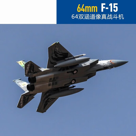 Avion de mode canal de Mengjingyu Dual 64mmf-15 Real Fighter Model à haute vitesse Aircraft à wing fixe, les novices sont prudents pour prendre des photos