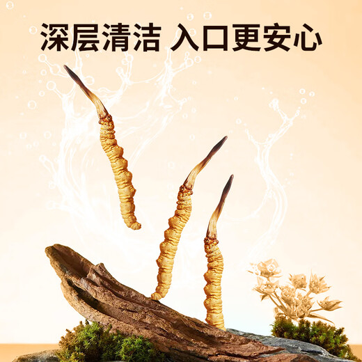 同芙 冬虫夏草3根/g 5g 15根礼盒装 滋补营养补品送长辈礼品礼物