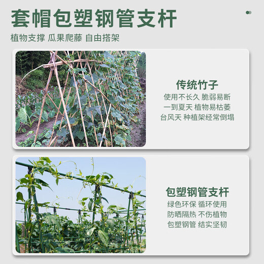 园艺支柱包塑钢管支花架黄瓜豆角葡萄种菜植物爬藤架支撑杆绿植架 直径11mm 长度180cm【10支装】