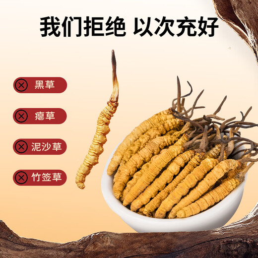 同芙 冬虫夏草3根/g 5g 15根礼盒装 滋补营养补品送长辈礼品礼物