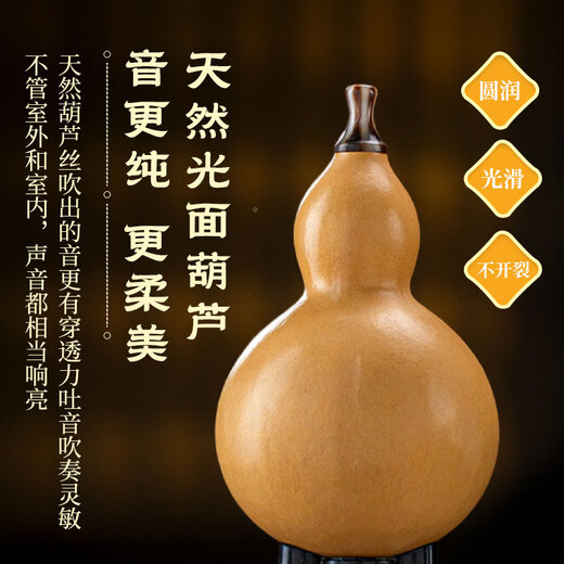 Golden Peacock Ebony Hound Silk C-Tune Élève d'écoles primaires spéciaux Adultes Adultes B-Tune Professional Playing Store Store Instruments de musique [Glossy Hound Ebony Tube] F-Tune + Giveaway
