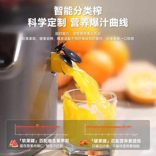 BLAUPUNKT juicer original juice machine household residue juice separation juice machine ice cream machine fully automatic large diameter fruit and vegetable juicer high juice easy cleaning pure juice rate 99% starry sky gray