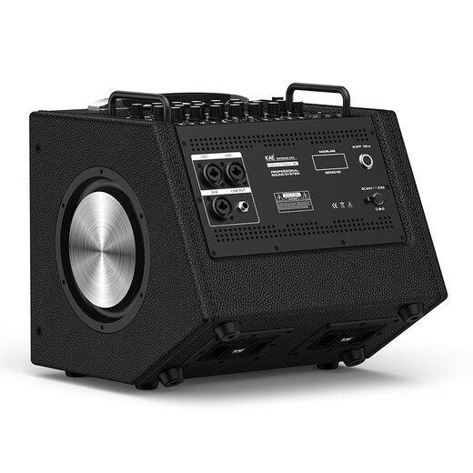 KAE-M8 outdoor karaoke live broadcast roadshow musical instrument audio electric blowpipe guitar saxophone live singing live broadcast internal recording box M8 white tiger head 330W high power + gift package