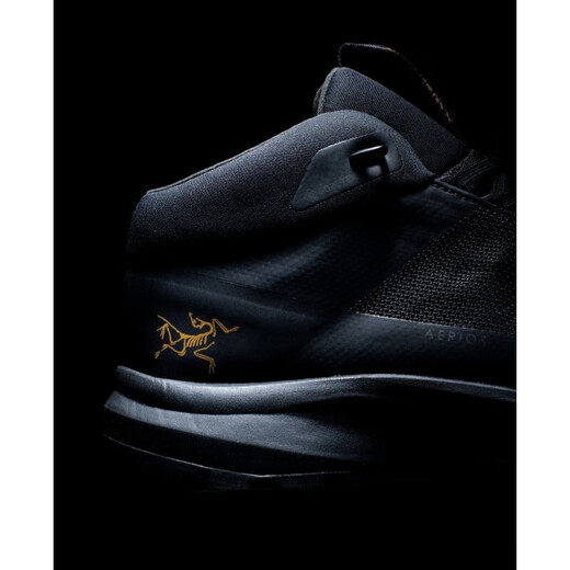 始祖鸟（ARC'TERYX）KOPEC/AERIOS GTX防水中低帮徒步鞋 女士KOPEC GTX黑色9209 4M/5W (36码内长220)