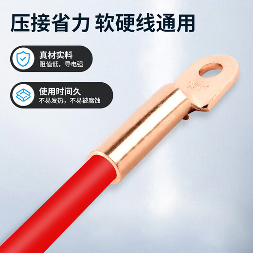 铸固 铜鼻子 线鼻子16平方DT冷压接线端子铜线耳接线电缆接线头 DT-16mm²（10只装）