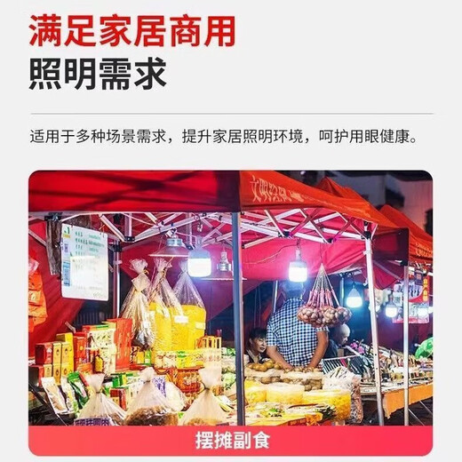 Whale and Light LED energy-saving light bulb with plug household plug-in e27 socket lamp with switch wire super bright hanging small wall lamp 4 meters wire