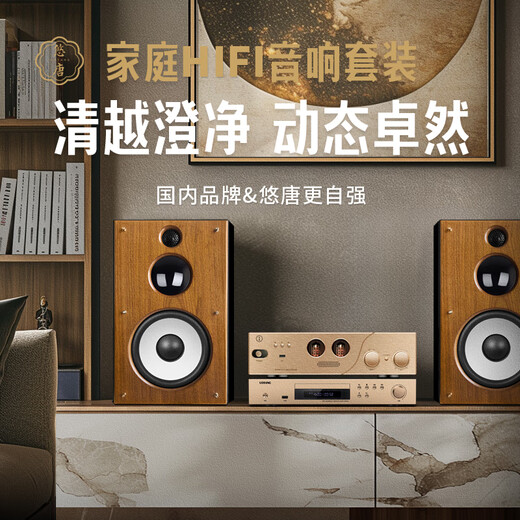 Youtang D398 Fever Grade HiFi Tube-Verstärker-Audio-Set für Electronic Tube Amplifier Haushalte Hochfutterbluetooth CD-Maschine Dreiviertel Frequenz 8-Zoll-Passive Buchhandlungslautsprecher Kombination Audio HiFi Audio-Set (Walnussfarbe) mit CD-Version)