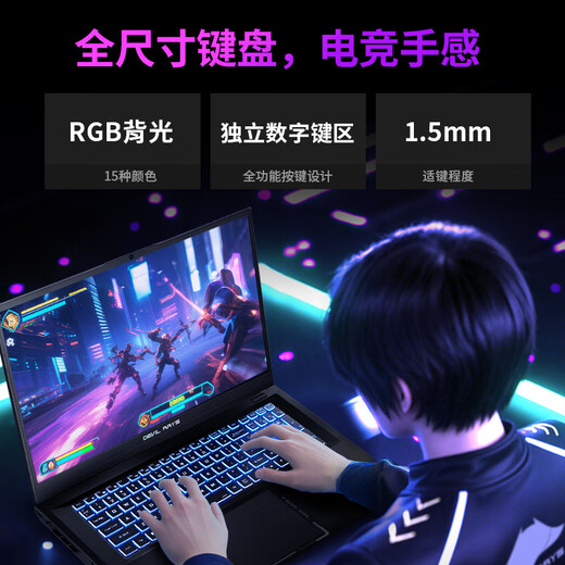 未来人类（Terrans Force）魔鬼鱼D17 酷睿i7HX 17.3英寸设计电竞游戏本笔记本电脑(i7-14700HX 32G 1T RTX5060 2.5K165Hz )