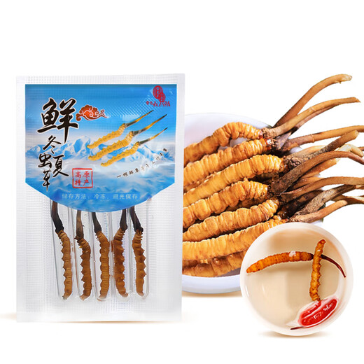 雷允上 冬虫夏草 头期新鲜虫草 生态繁育 冷鲜配送【鲜虫草不支持退货】 30条（1-1.2g/条）