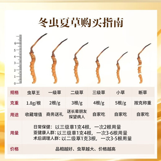 The high-end gift box and supplements for Cordyceps sinensis are given to elders. New dried Cordyceps sinensis is given to the elderly. 4 sticks/g 10 grams. 40 sticks in total.