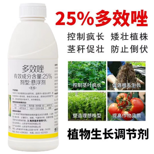 25 Paclobutrazol Controls Growth, Resists Lodging and Increases Yield of Wheat, Corn, Cotton, Vegetables, Flowers and Fruit Trees, Plant Growth Regulator 1000g