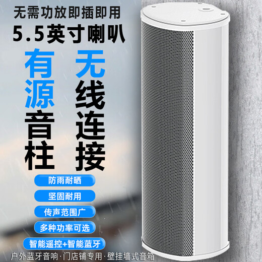 先科（SAST）150W户外防水音柱 5.5英寸室外挂墙壁挂式音响功放喇叭套装音箱学校操场会议广播店铺音乐	