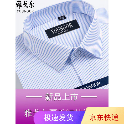 CEO雅戈尔男士短袖衬衫夏季商务休闲职业正装棉免烫中年大码条纹衬衣 短袖DX6624 43