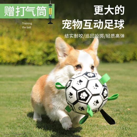 Front dog toy pet outdoor football border collie medium and large dog corgi interactive bite-resistant boredom relief training tour ball