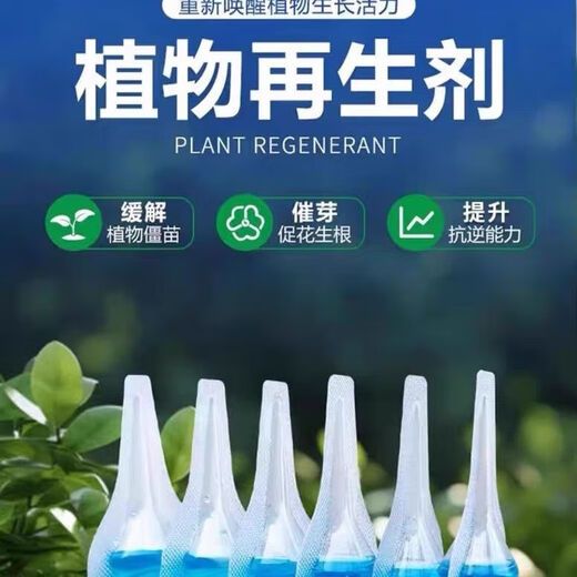 Plant Regeneration Agent Resurrection Liquid for Flowers and Green Plants Potted Plants Universal Light Stem Yellowing Money Tree Succulent Growth Nutrient Solution 10 boxes of 60 pieces in total Green leaves + strong roots + flower promotion