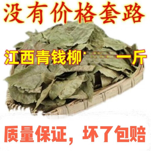 滨陇堂江西修水野生青钱柳原叶特级 正宗青钱草青钱柳茶 金钱柳茶叶 10克【试用装】