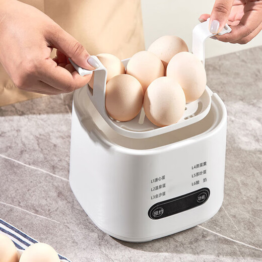 Egg cooker, steamer, electric steamer, small stewing and steaming all-in-one small steamer, omelette pot, small steamed egg artifact, household dormitory electric frying pan, small appliance, small electric cooker, double layer, with steamed egg rack + stainless steel custard bowl, 6 major functions