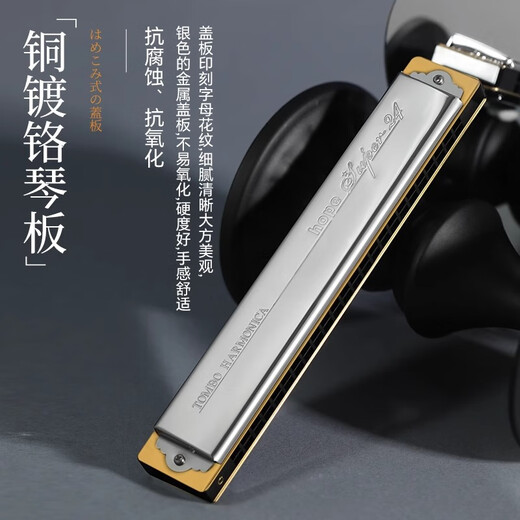 Tongbao Japan Tombo Tongbao 6624S harmonica 24-trous polyphonique c Tune Adult Professional Performance Niveau D Tune