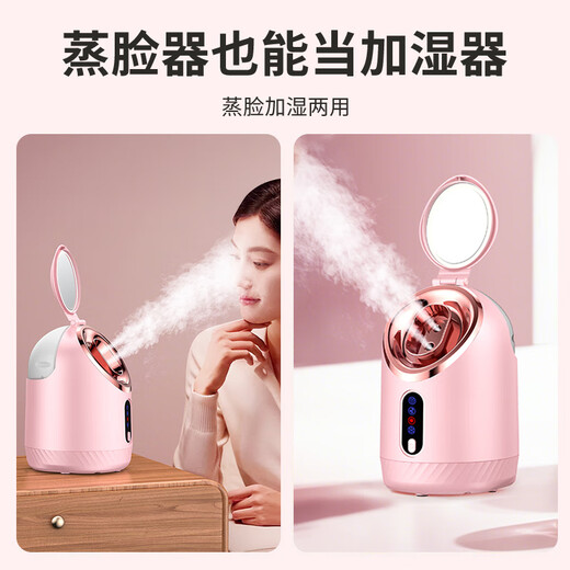 TrueX facial steamer hot and cold dual spray household facial moisturizing spray hydrating beauty instrument humidifier moisturizing nano mask hot spray facial steamer machine blackhead pore cleaner hot and cold three sprays 250 ml enlarged water tank + 3 sprays switchable facial steamer