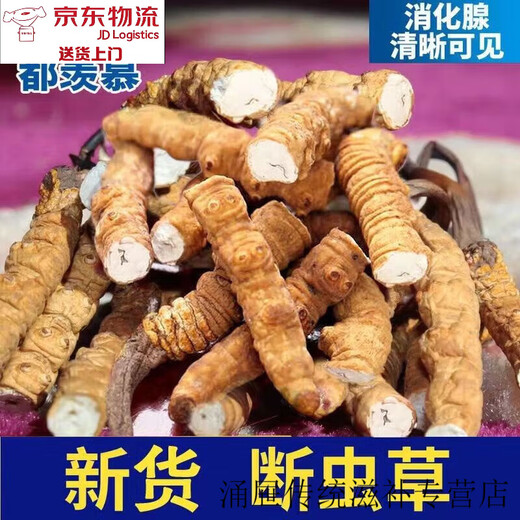 Beijing Tongrentang [Black Friday] Authentic Cordyceps sinensis large broken grass meat more grass less Cordyceps nourishing health 20 grams of broken grass [3 grams of free