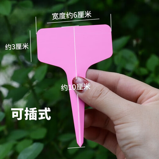 Gardening label insert tag waterproof ring buckle plant listing identification card plastic thickened succulent small label tool 20 white hanging labels