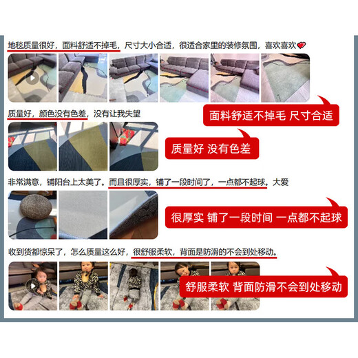 萝大搬（LUODABAN）地毯客厅2025新款免洗可擦沙发地垫卧室感家用轻奢防水茶几毯 简约15601号 200cm*300cm (耐磨耐用)
