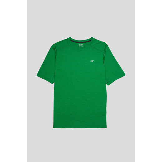 
Archaeopteryx Arc'teryx Men's Short Sleeve T-shirt Cormac Quick Dry Clothes Black Back Big Bird Mark_x9721 S