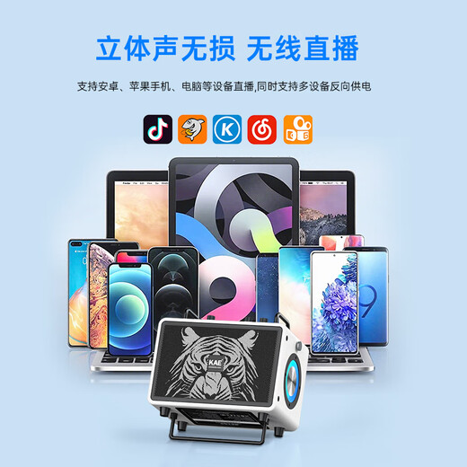 KAEM3 Audio British professional electric blowpipe saxophone singing Bluetooth speaker musical instrument live broadcast portable outdoor playing and singing M3 purple tiger head (portable 120W rated)