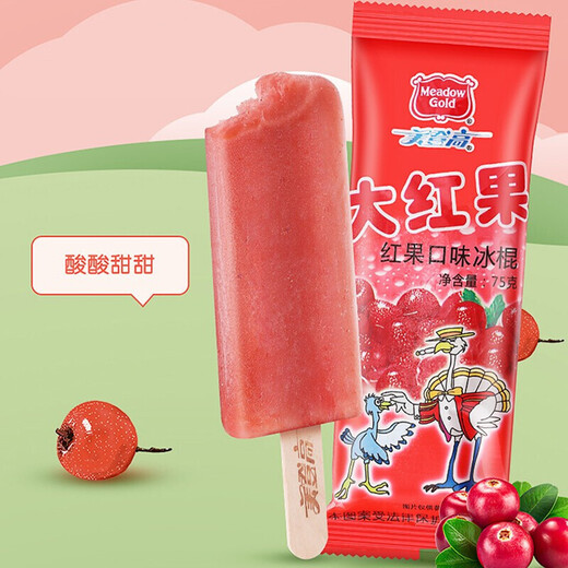 Meidengaodahongguo hawthorn flavor popsicle 75g*10 sticks fruity ice cream ice cream wholesale ice cream