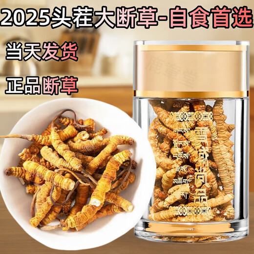 正品虫草冬虫夏草大断草高海拔断虫草2025头茬新自用大号断虫草 那曲高海拔断虫草20克装